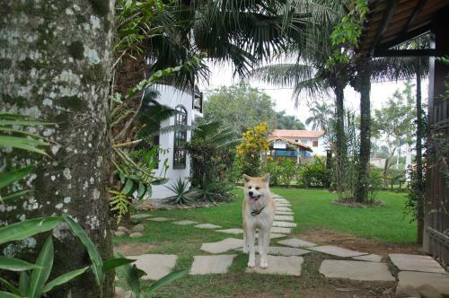 Hostal Chal� Su��o