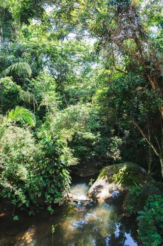 Posada Ytoror� O Som Das �guas