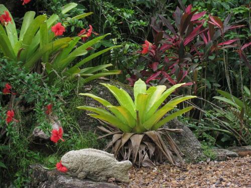 S�tio Rodamonte