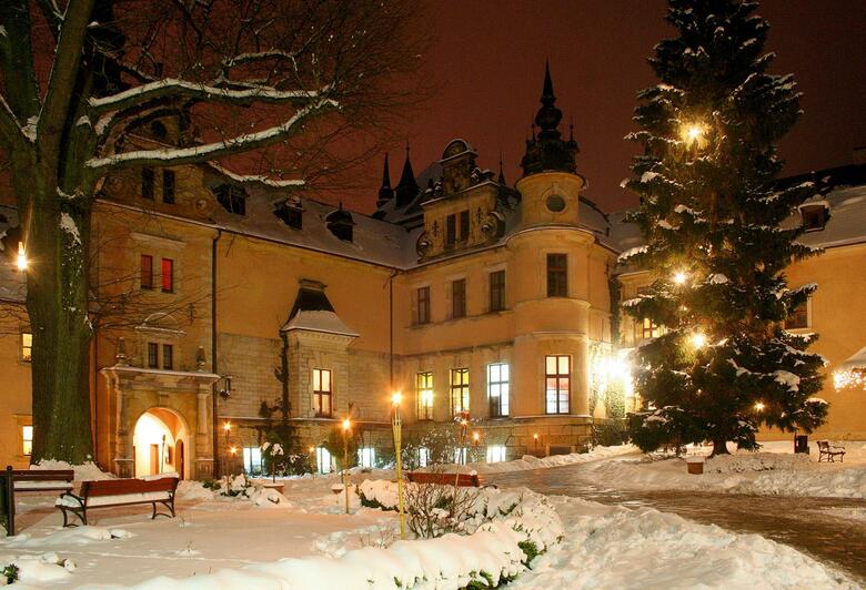 Hotel Zamek Kliczk�w