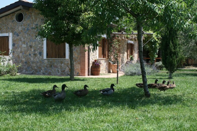 Agroturismo Agriturismo Vivinatura