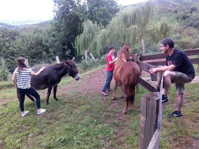 Agroturismo Casa Rural Haitzetxea