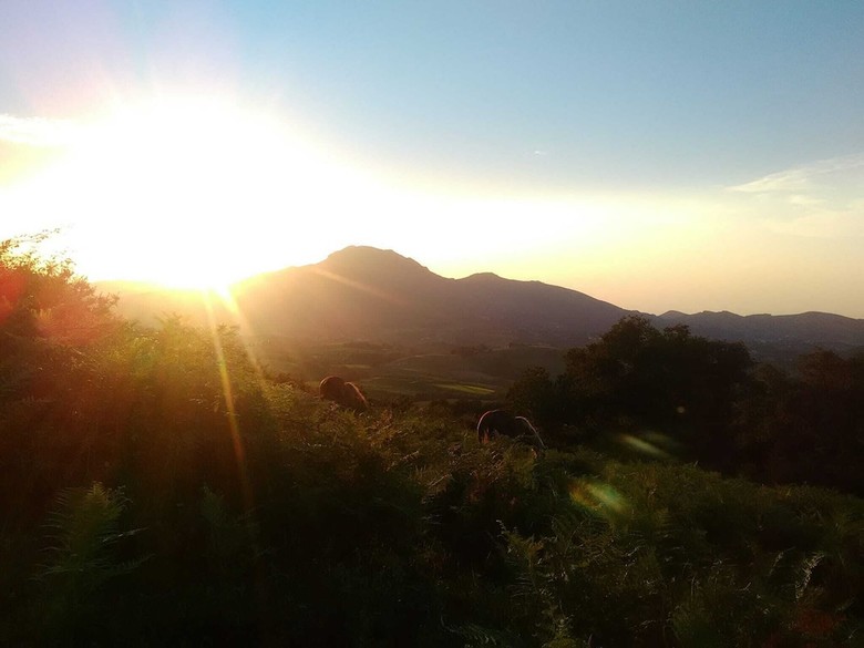 Agroturismo Casa Rural Haitzetxea