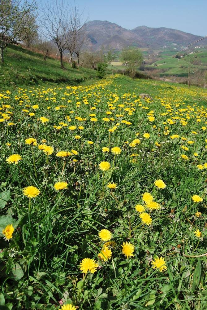 Agroturismo Casa Rural Haitzetxea