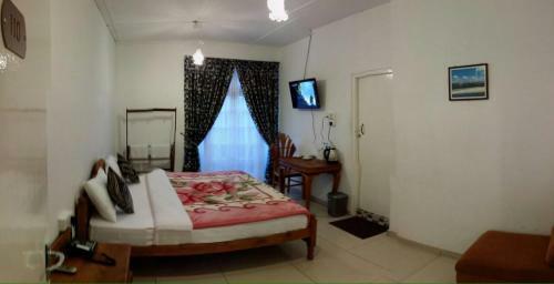 Hotel Green Stars