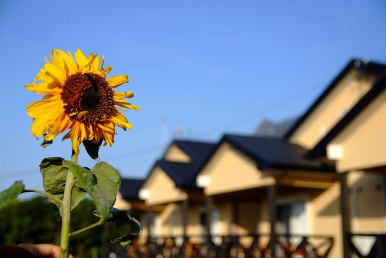 Yakushima Cottage Morino Fairy