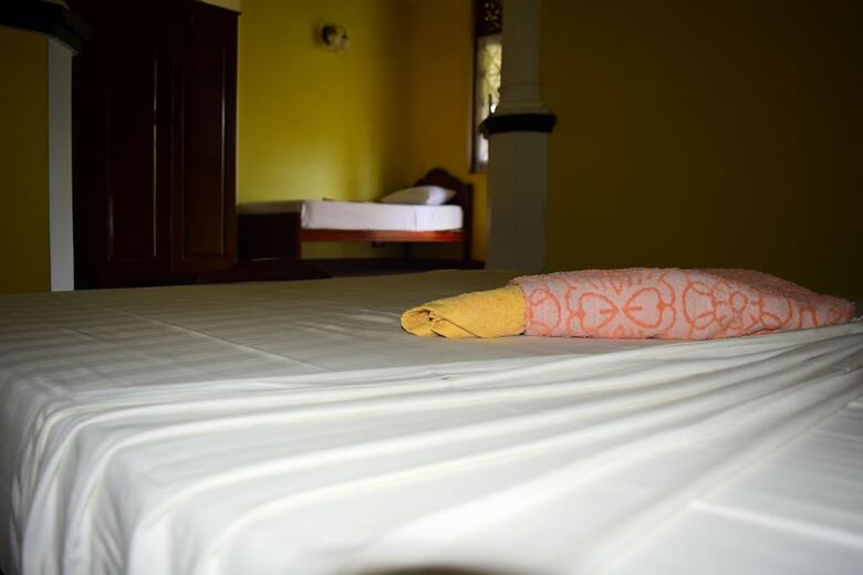 Hotel Blue Swan Inn