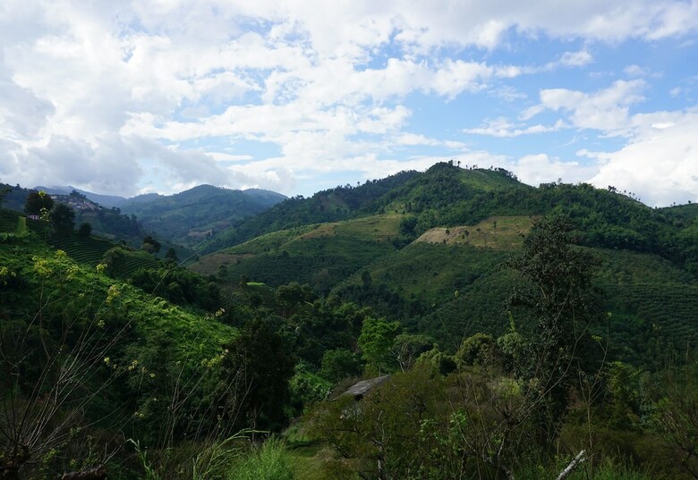 Hotel Maesalong Mountain Home