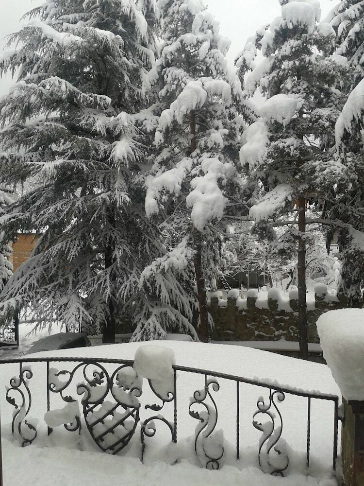 Hotel Borjomi Palace