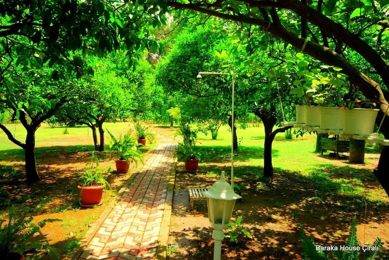 Bed & Breakfast Baraka House Cirali