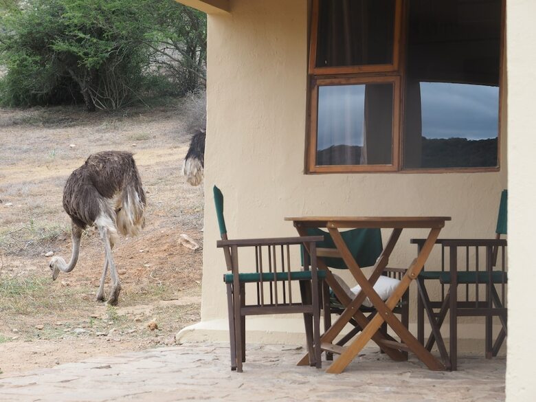 Posada Pure Nature Familodge