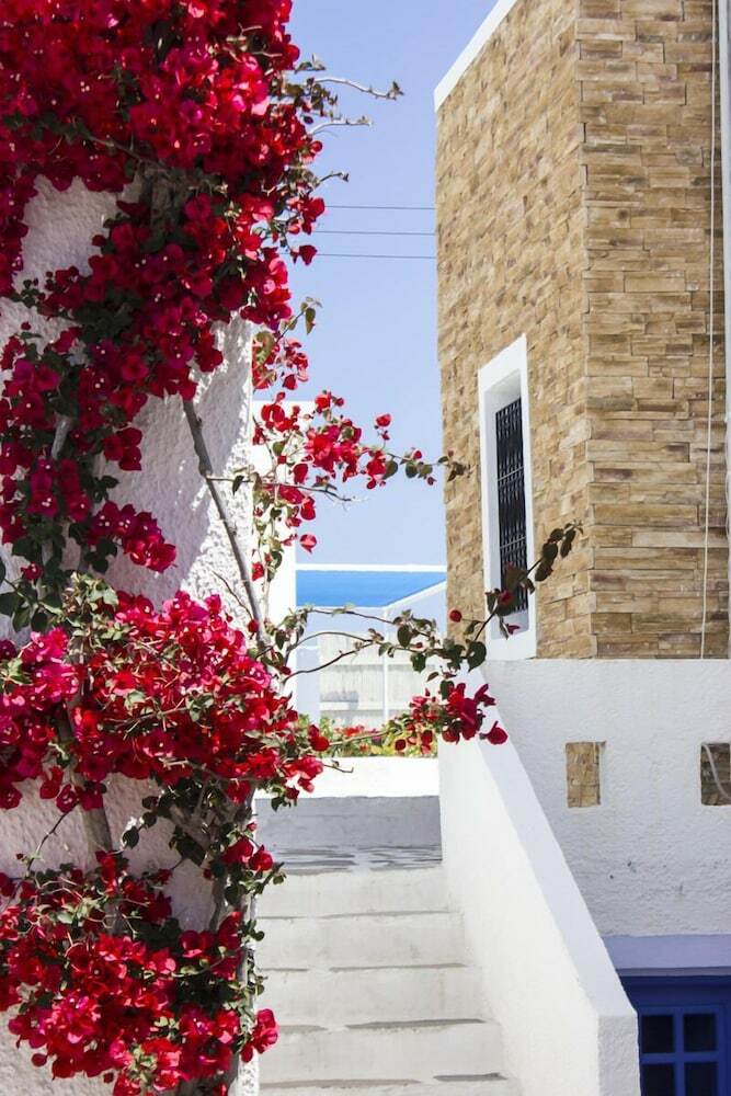Hotel Naxos Holidays