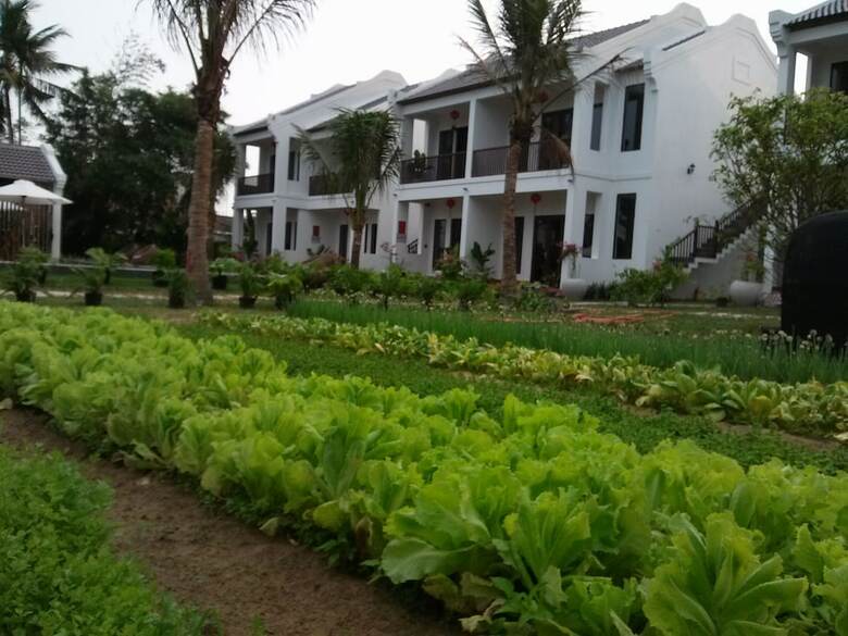 Hotel Gem Hoi An Villa