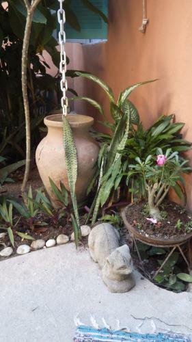 Eco Olinda B&B