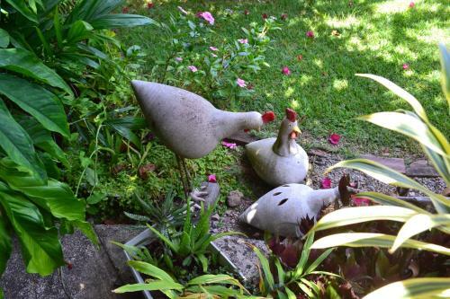 Eco Olinda B&B