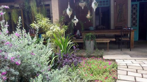 Eco Olinda B&B