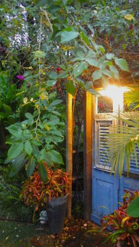 Eco Olinda B&B