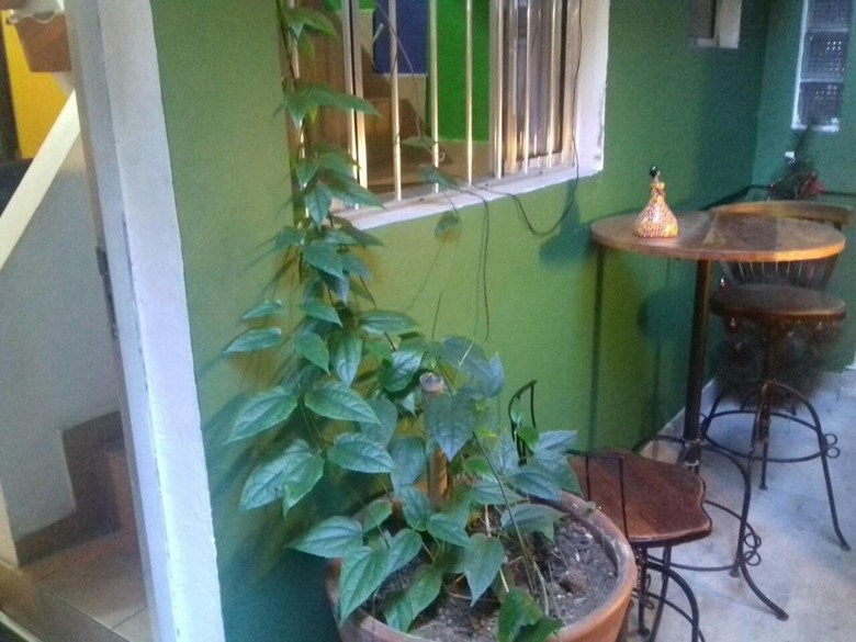Girassol Hostel Vila Madalena