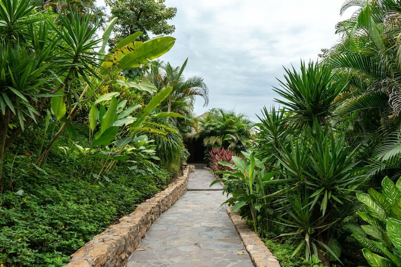Hotel Vista De Olas