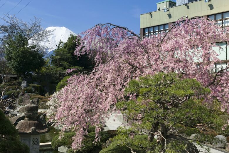 Fujisan Onsen Hotel Kaneyamaen