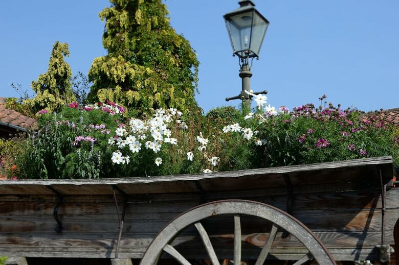 Park Farm Hotel & Leisure