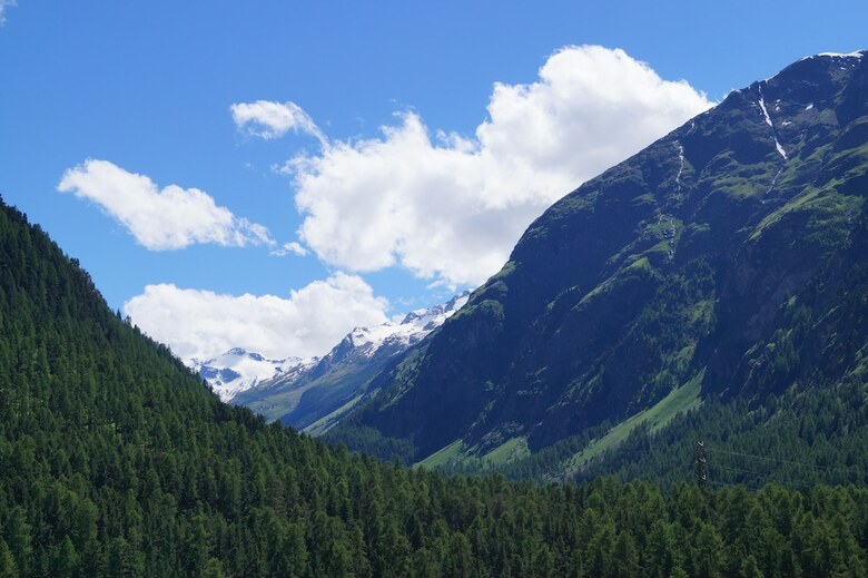 Hotel Schweizerhof Pontresina