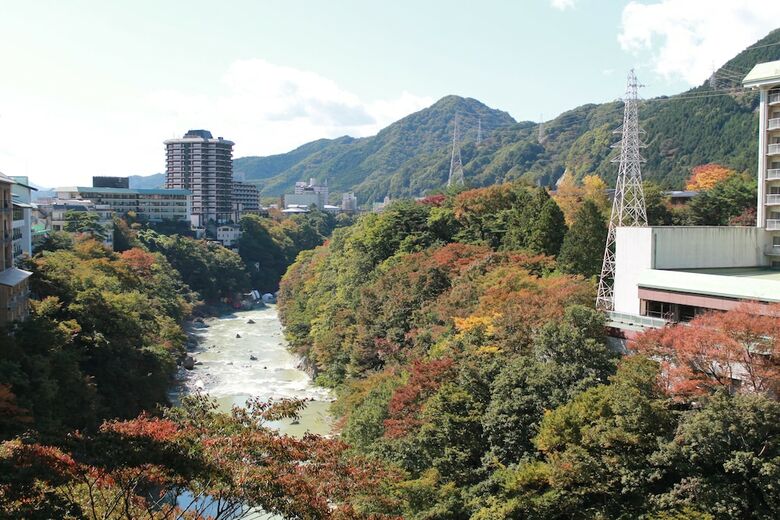 Hotel Kinugawa Onsen Sanraku