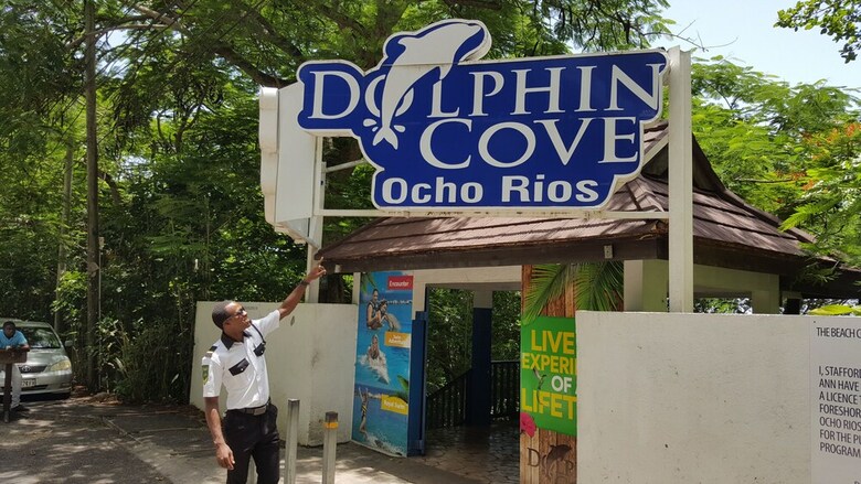 Ocho Rios Villa At Coolshade IV