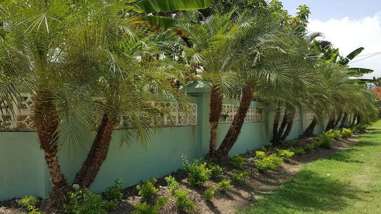 Ocho Rios Villa At Coolshade III