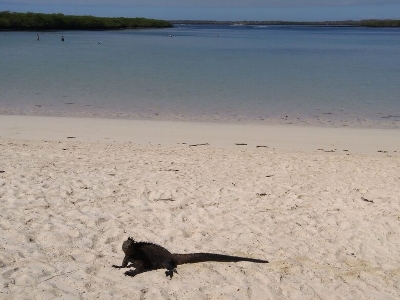 Posada Suymar Ecolodge Galapagos