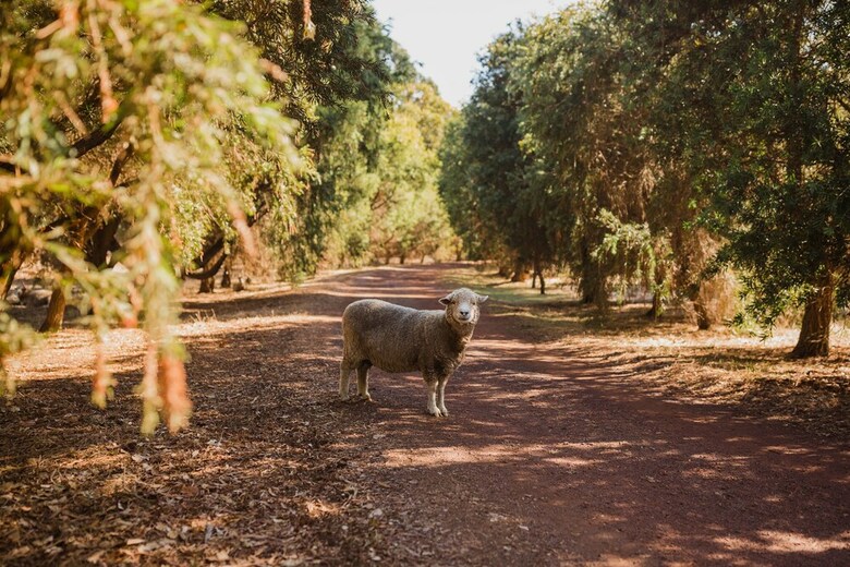 Margaret River Holiday Cottages