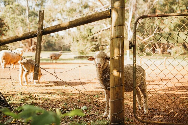 Margaret River Holiday Cottages