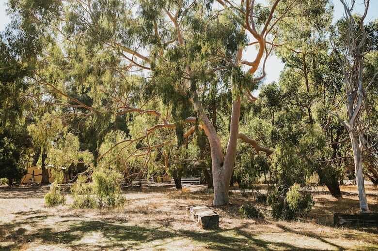 Margaret River Holiday Cottages