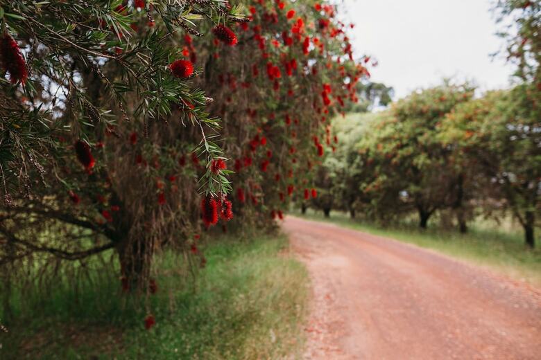 Margaret River Holiday Cottages