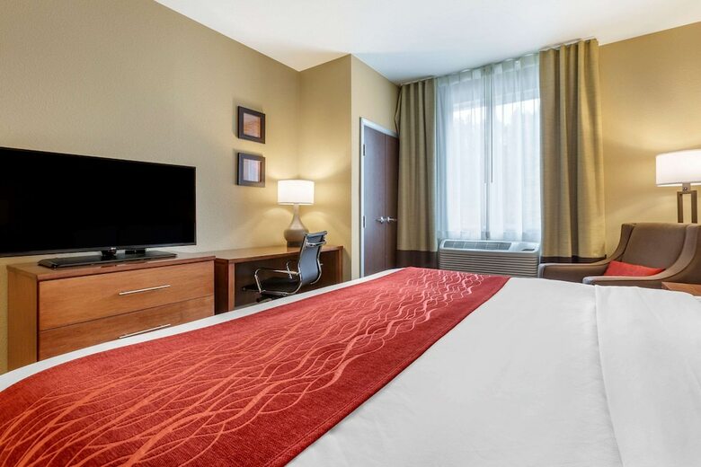 Hotel Comfort Inn & Suites Near Mt. Rushmore