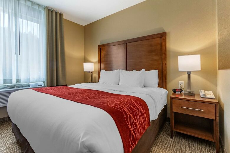 Hotel Comfort Inn & Suites Near Mt. Rushmore