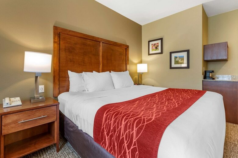 Hotel Comfort Inn & Suites Near Mt. Rushmore