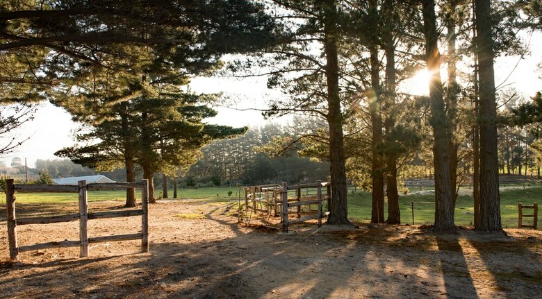 High Season Farm