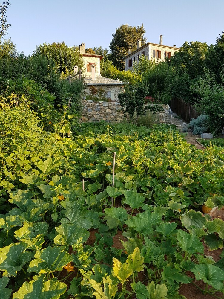 Hotel Amanita Guesthouse