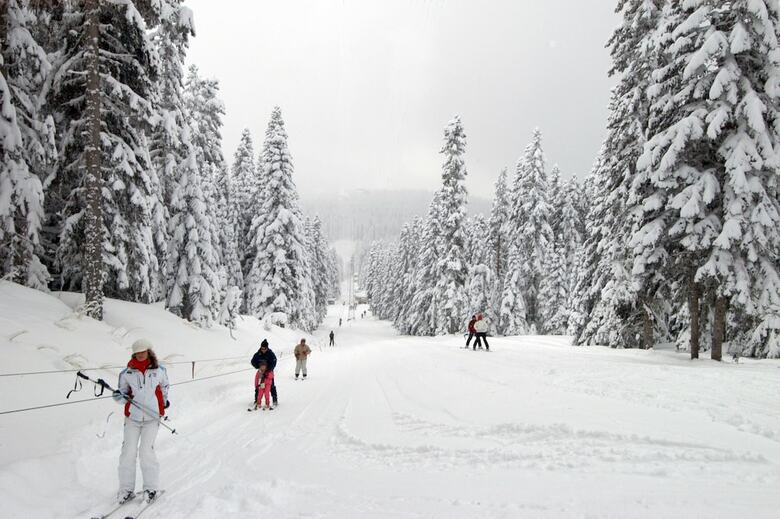 Ferko Ilgaz Mountain Hotel & Resort