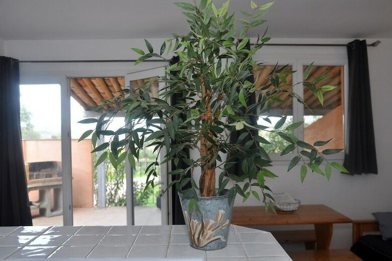 Residencia R�sidence Maora Village
