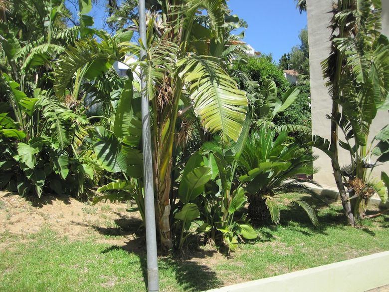 Apartamentos Fan Flat Torremolinos