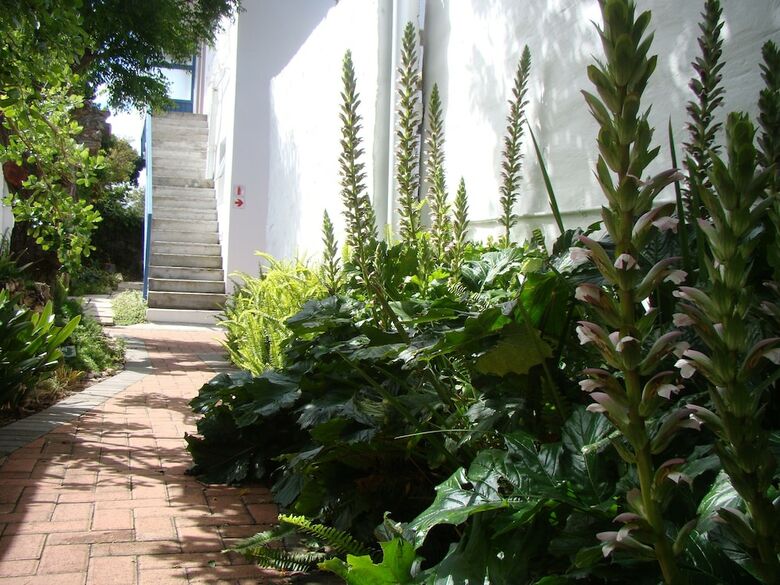Hotel Aqua Marine Guest House