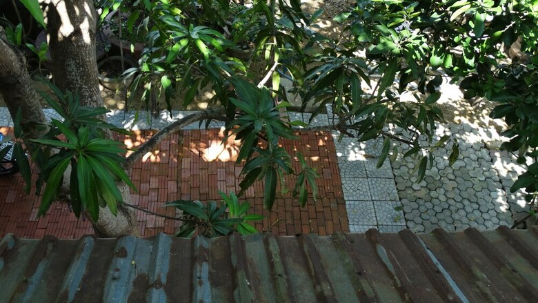 Hotel Yellow House Homestay