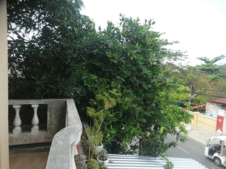Hotel Yellow House Homestay