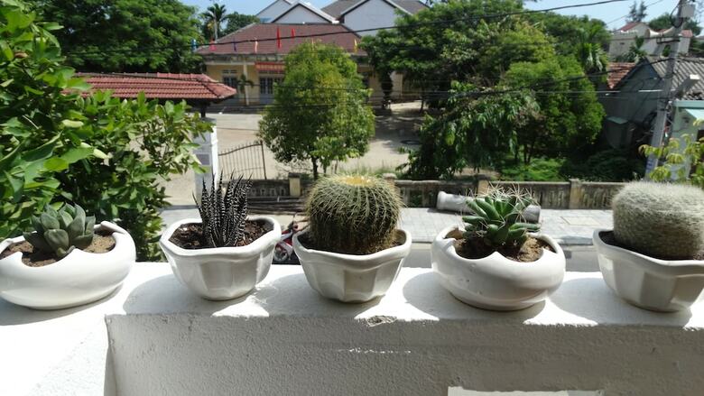 Hotel Yellow House Homestay