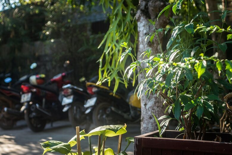 Hotel Cosy Bungalow Phu Quoc
