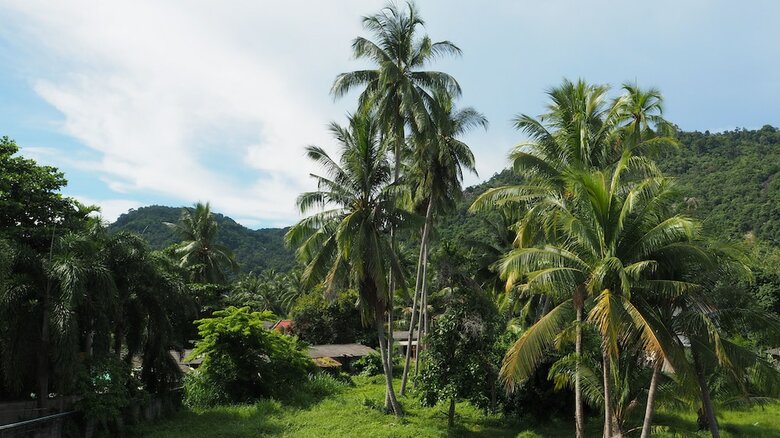 Crystal Lamai Hotel