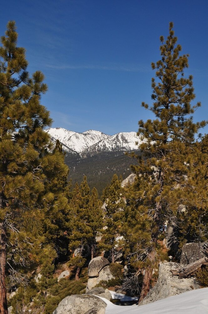 Tahoe Chaparral