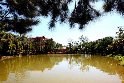 Hotel Oscar Inn Eco Resort